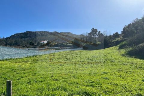 Helårsgrund i Cadaval, Lisbon, Cadaval - € 60.000 | Ref: CL25030 - foto 4