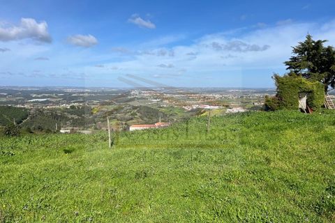 Helårsgrund i Cadaval, Lisbon, Cadaval - € 60.000 | Ref: CL25030 - foto 7