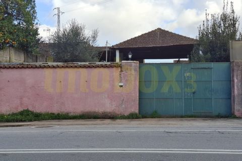 Villa i Agueda, Aveiro, Agueda - € 239.000 | Ref: CAS_634 - foto 10