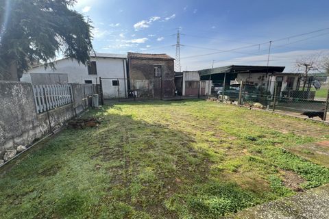 Rækkehus i Legnago, Verona, Legnago - € 88.000 | Ref: 666 - foto 4