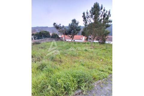 Helårsgrund i Agueda, Aveiro, Agueda - € 40.000 | Ref: 6776 - foto 4