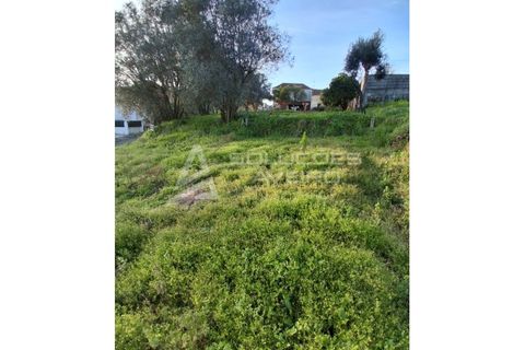Helårsgrund i Oia, Aveiro, Oia - € 15.000 | Ref: 6769 - foto 2