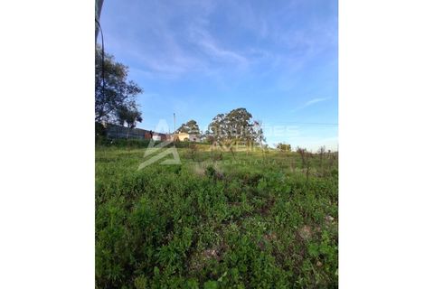 Helårsgrund i Oia, Aveiro, Oia - € 15.000 | Ref: 6769 - foto 3