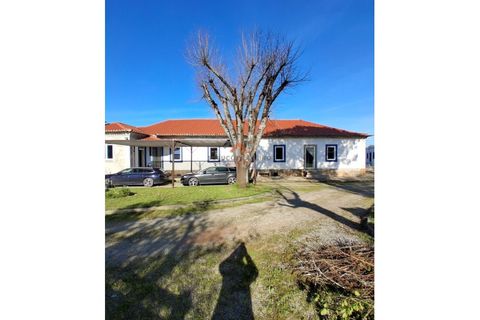 Villa i Agueda, Aveiro, Agueda - € 600.000 | Ref: 6768 - foto 2
