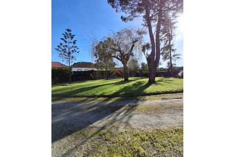 Villa i Agueda, Aveiro, Agueda - € 600.000 | Ref: 6768 - foto 3