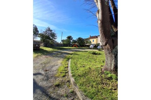 Villa i Agueda, Aveiro, Agueda - € 600.000 | Ref: 6768 - foto 4