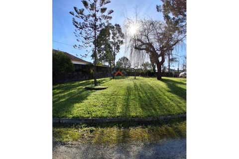 Villa i Agueda, Aveiro, Agueda - € 600.000 | Ref: 6768 - foto 5