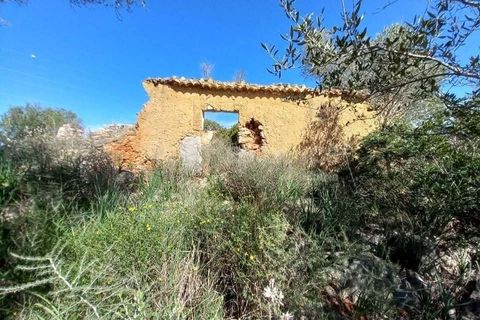 Helårsgrund i Tunes, Faro, Tunes - € 350.000 | Ref: 0006-25 - foto 1