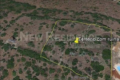 Helårsgrund i Tunes, Faro, Tunes - € 350.000 | Ref: 0006-25 - foto 2