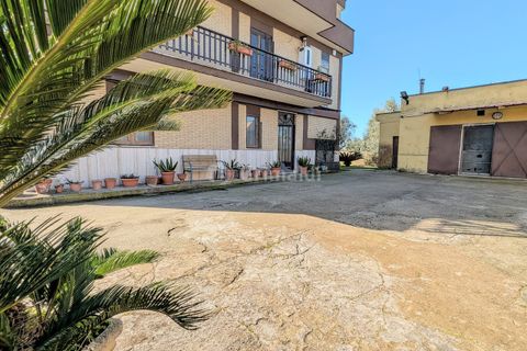 Villa a Nettuno, Rome, Nettuno - € 350.000 | Ref: DE518 - foto 2