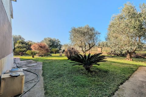 Villa a Nettuno, Rome, Nettuno - € 350.000 | Ref: DE518 - foto 12