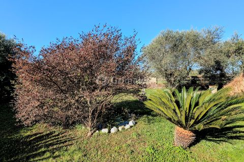 Villa a Nettuno, Rome, Nettuno - € 350.000 | Ref: DE518 - foto 16