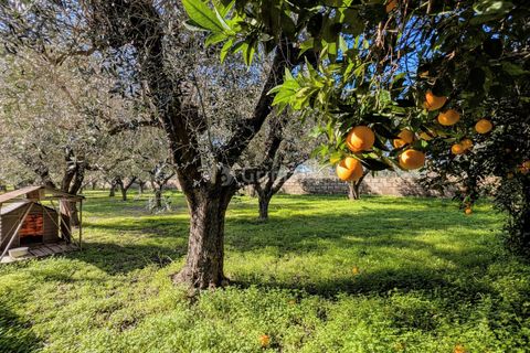 Villa a Nettuno, Rome, Nettuno - € 350.000 | Ref: DE518 - foto 18