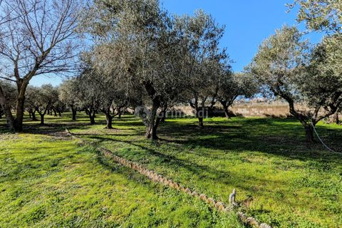 Villa a Nettuno, Rome, Nettuno - € 350.000 | Ref: DE518 - foto 19