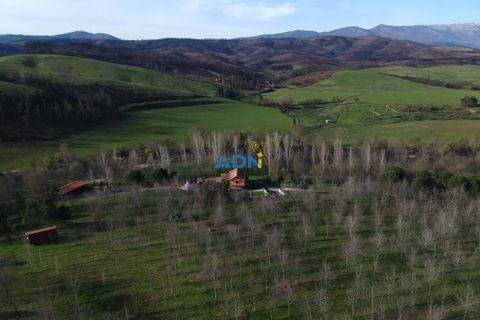 Farm hus i Paul, Castelo Branco, Paul - € 850.000 | Ref: 126010 - foto 3