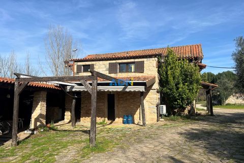 Farm hus i Paul, Castelo Branco, Paul - € 850.000 | Ref: 126010 - foto 5