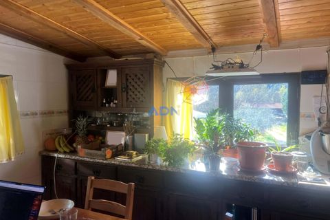 Farm hus i Paul, Castelo Branco, Paul - € 850.000 | Ref: 126010 - foto 7
