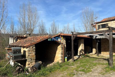Farm hus i Paul, Castelo Branco, Paul - € 850.000 | Ref: 126010 - foto 30