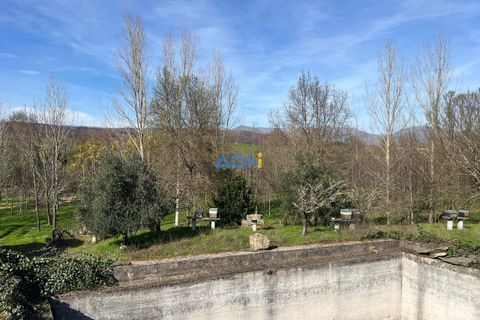 Farm hus i Paul, Castelo Branco, Paul - € 850.000 | Ref: 126010 - foto 39