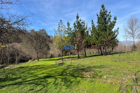 Farm hus i Paul, Castelo Branco, Paul - € 850.000 | Ref: 126010 - foto 42