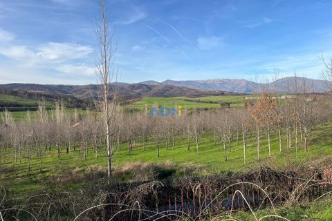 Farm hus i Paul, Castelo Branco, Paul - € 850.000 | Ref: 126010 - foto 43