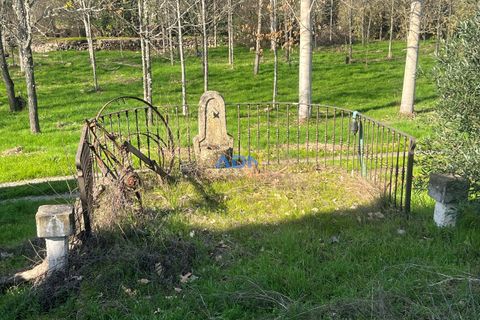 Farm hus i Paul, Castelo Branco, Paul - € 850.000 | Ref: 126010 - foto 44