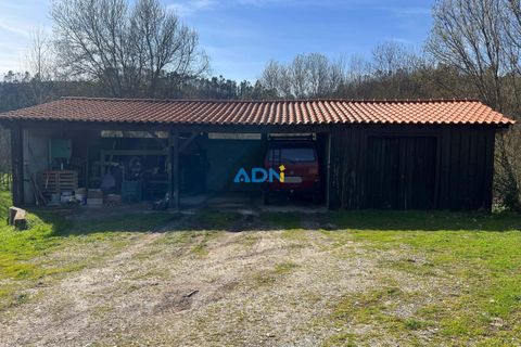 Farm hus i Paul, Castelo Branco, Paul - € 850.000 | Ref: 126010 - foto 45