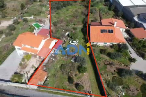 Helårsgrund i Fundao, Castelo Branco, Fundao - € 100.000 | Ref: 126002 - foto 1