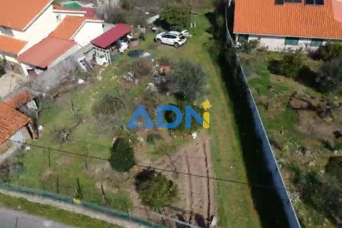 Helårsgrund i Fundao, Castelo Branco, Fundao - € 100.000 | Ref: 126002 - foto 31