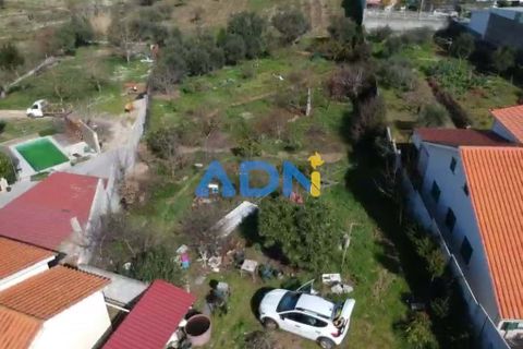 Helårsgrund i Fundao, Castelo Branco, Fundao - € 100.000 | Ref: 126002 - foto 32