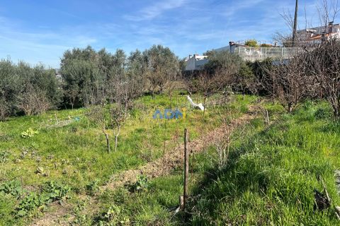 Helårsgrund i Fundao, Castelo Branco, Fundao - € 100.000 | Ref: 126002 - foto 11