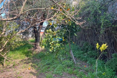 Helårsgrund i Fundao, Castelo Branco, Fundao - € 100.000 | Ref: 126002 - foto 15