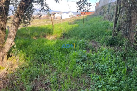 Helårsgrund i Fundao, Castelo Branco, Fundao - € 100.000 | Ref: 126002 - foto 16