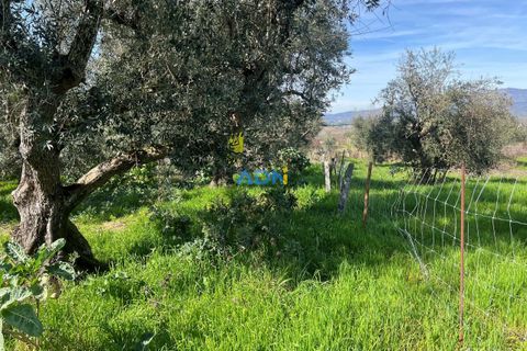 Helårsgrund i Fundao, Castelo Branco, Fundao - € 100.000 | Ref: 126002 - foto 17