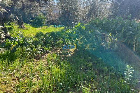 Helårsgrund i Fundao, Castelo Branco, Fundao - € 100.000 | Ref: 126002 - foto 23