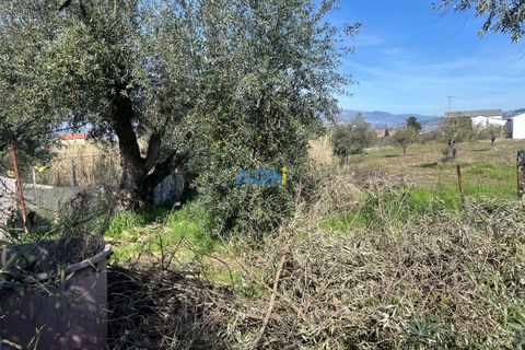 Helårsgrund i Fundao, Castelo Branco, Fundao - € 100.000 | Ref: 126002 - foto 24