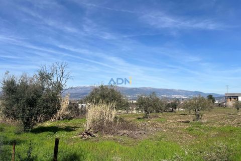 Helårsgrund i Fundao, Castelo Branco, Fundao - € 100.000 | Ref: 126002 - foto 26