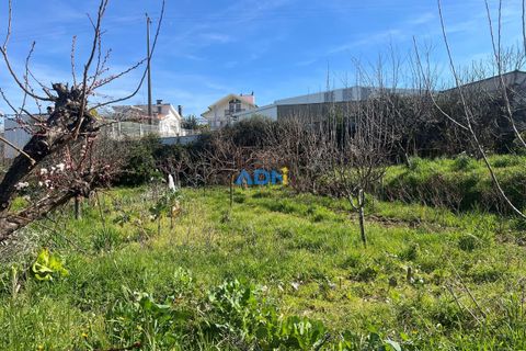 Helårsgrund i Fundao, Castelo Branco, Fundao - € 100.000 | Ref: 126002 - foto 27