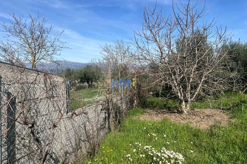 Helårsgrund i Fundao, Castelo Branco, Fundao - € 100.000 | Ref: 126002 - foto 29