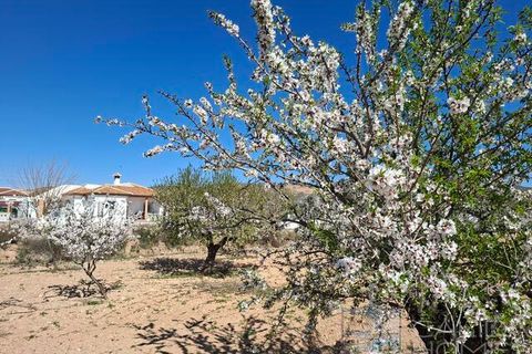 Villa in Albox, Almeria, Albox - € 298.950 | Ref: Villa Aster - foto 8