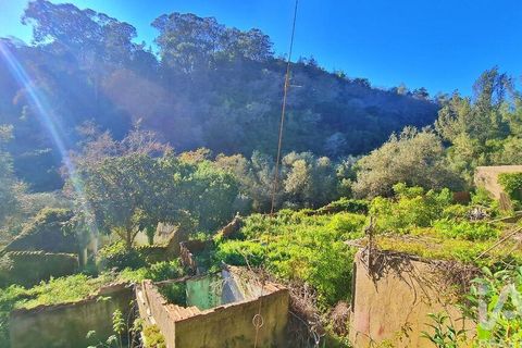 Byhus i Sintra, Lisbon, Sintra - € 698.000 | Ref: 112947 - foto 19