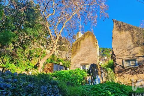 Byhus i Sintra, Lisbon, Sintra - € 698.000 | Ref: 112947 - foto 21