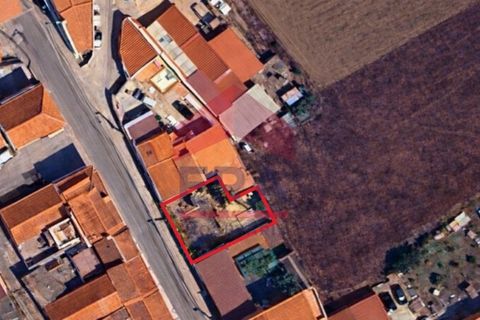 Tomt i Mafra, Lisbon, Mafra - € 119 000 | Ref: 150260033 - foto 12