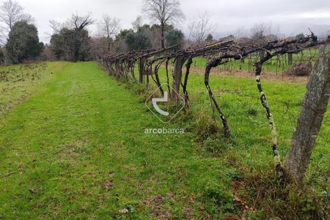 Helårsgrund i Valenca, Viana do Castelo, Valenca - € 65.000 | Ref: AV6647 - foto 2