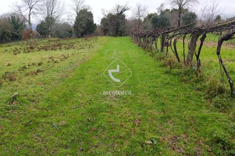 Helårsgrund i Valenca, Viana do Castelo, Valenca - € 65.000 | Ref: AV6647 - foto 3