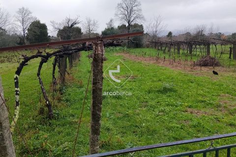 Helårsgrund i Valenca, Viana do Castelo, Valenca - € 65.000 | Ref: AV6647 - foto 4