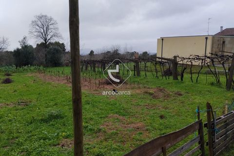 Helårsgrund i Valenca, Viana do Castelo, Valenca - € 65.000 | Ref: AV6647 - foto 6
