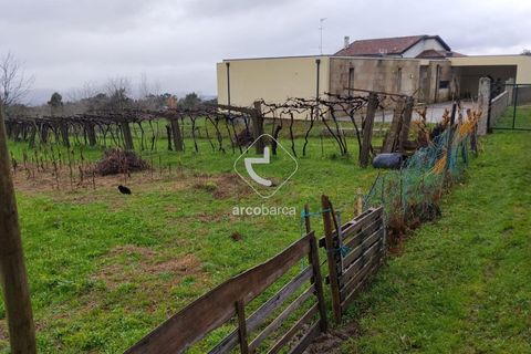 Helårsgrund i Valenca, Viana do Castelo, Valenca - € 65.000 | Ref: AV6647 - foto 7