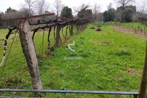 Helårsgrund i Valenca, Viana do Castelo, Valenca - € 65.000 | Ref: AV6647 - foto 8