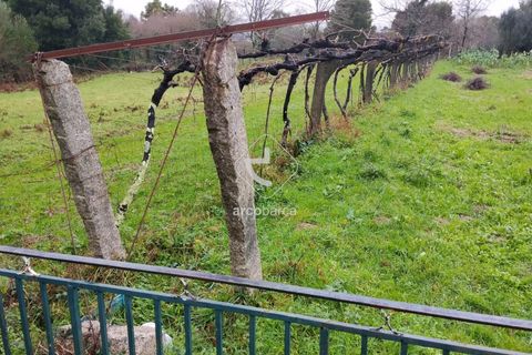 Helårsgrund i Valenca, Viana do Castelo, Valenca - € 65.000 | Ref: AV6647 - foto 9